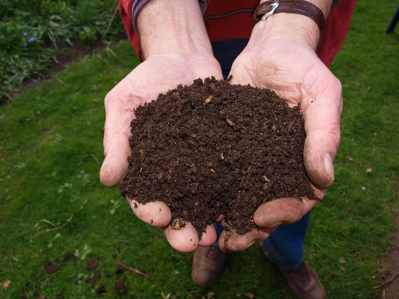 Vermicomposting